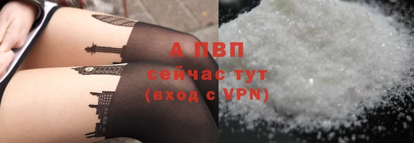 МДПВ Богородск