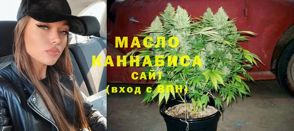 МДПВ Богородск
